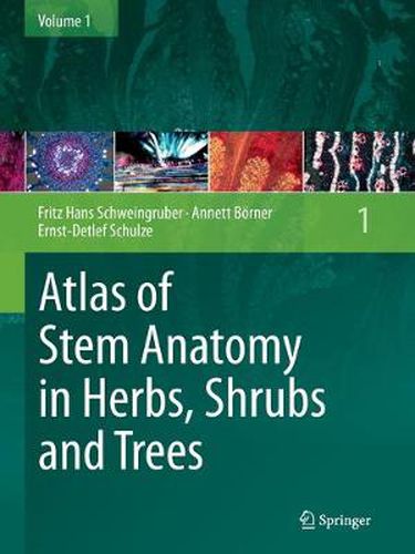 Atlas of Stem Anatomy in Herbs, Shrubs and Trees: Volume 1