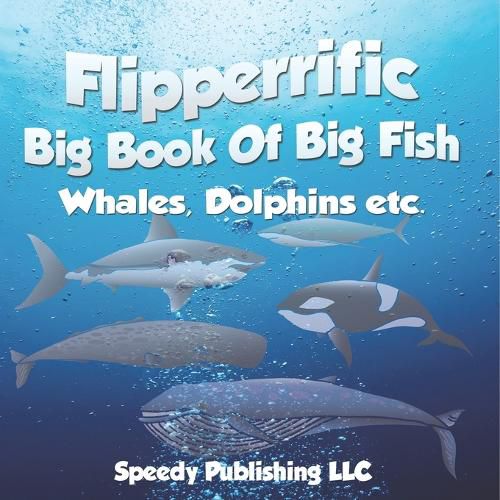 Cover image for Flipperrific Big Book Of Big Fish (Whales, Dolphins etc)