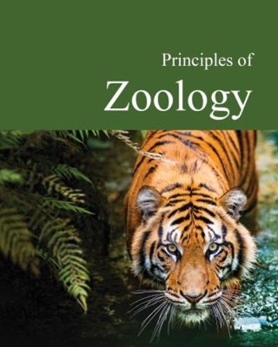 Cover image for Principles of Zoology