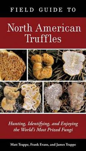 Field Guide to North American Truffles: Hunting, Identifying, and Enjoying the World's Most Prized Fungi