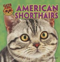 Cover image for American Shorthairs