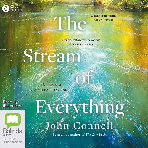 The Stream of Everything