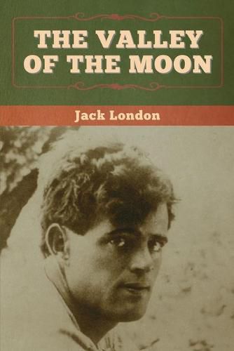 Cover image for The Valley of the Moon