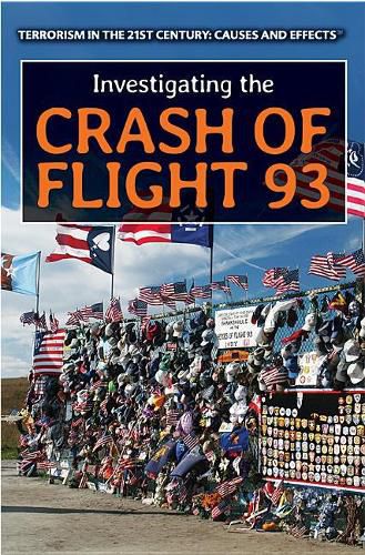 Cover image for Investigating the Crash of Flight 93