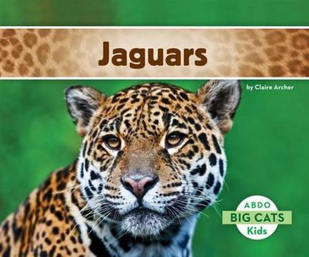 Cover image for Jaguars