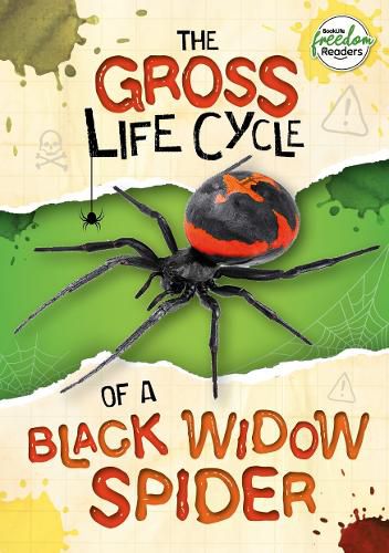 Cover image for The Gross Life Cycle of a Black Widow Spider