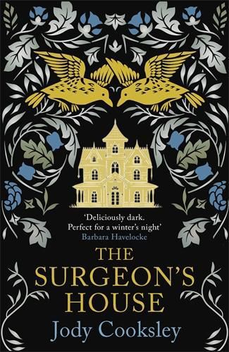 Cover image for The Surgeon's House