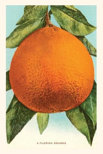 Cover image for Vintage Journal Florida Orange