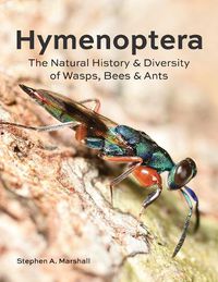 Cover image for Hymenoptera