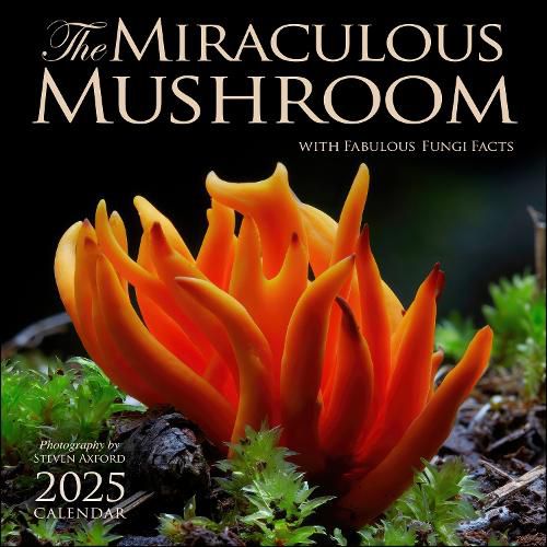 The Miraculous Mushroom 2025 Wall Calendar