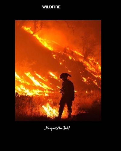 Cover image for Wildfire