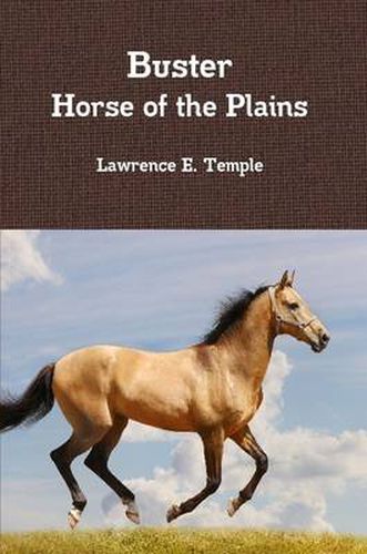 Cover image for Buster Horse of the Plains