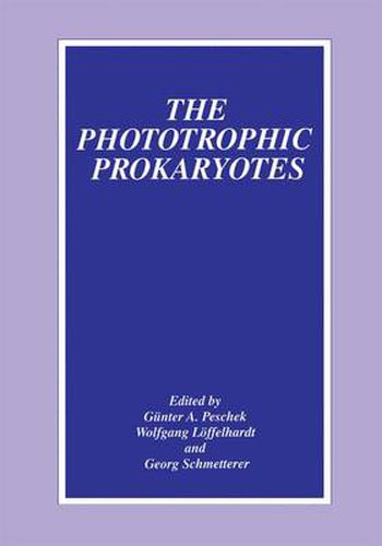 Cover image for The Phototrophic Prokaryotes