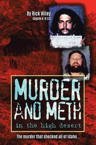 Cover image for Murder and Meth in the High Desert