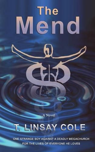 Cover image for The Mend