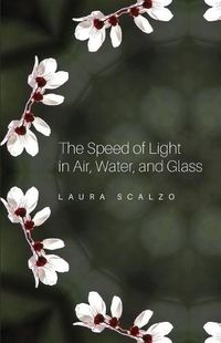 Cover image for The Speed of Light in Air, Water, and Glass