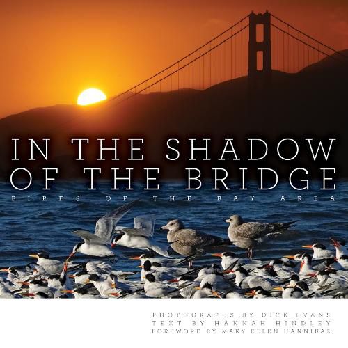 Cover image for In the Shadow of the Bridge