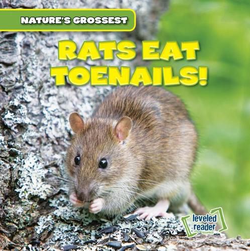 Cover image for Rats Eat Toenails!