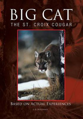 Cover image for Big Cat: The St. Croix Cougar