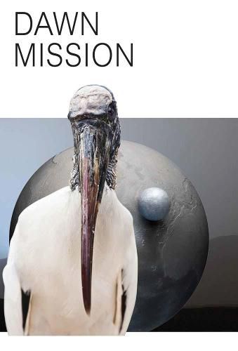 Cover image for Katja Novitskova: Dawn Mission