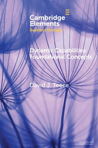 Cover image for Dynamic Capabilities