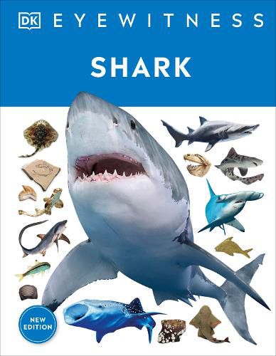 Cover image for Shark: Dive into the fascinating world of sharks - from the tiny dwarf dogfish to the ferocious great white