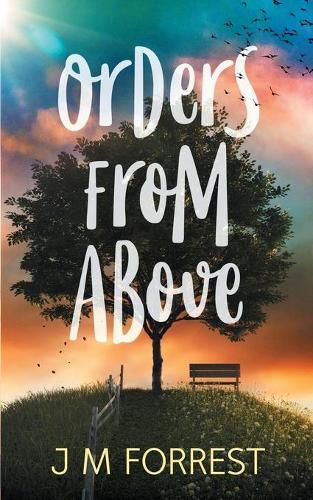 Cover image for Orders From Above