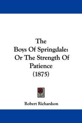 The Boys of Springdale: Or the Strength of Patience (1875)