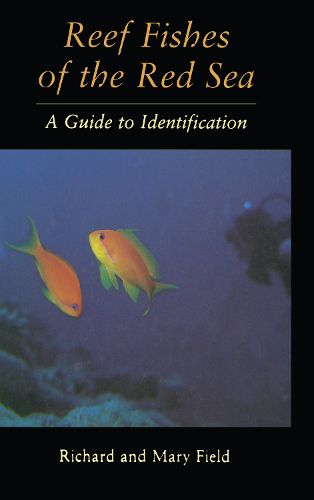 Cover image for Reef Fish Of The Red Sea