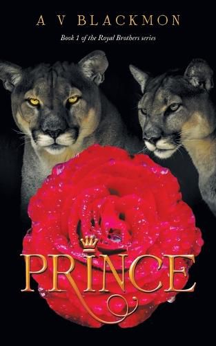 Cover image for Prince: 1St Book of a 4 Book Series