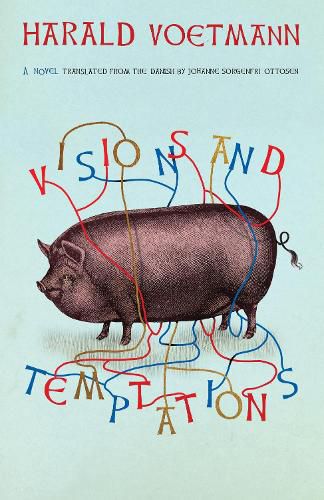 Cover image for Visions and Temptations