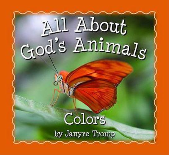 Cover image for Colors