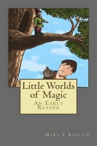 Cover image for Little Worlds of Magic