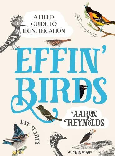 Cover image for Effin' Birds: A Field Guide to Identification