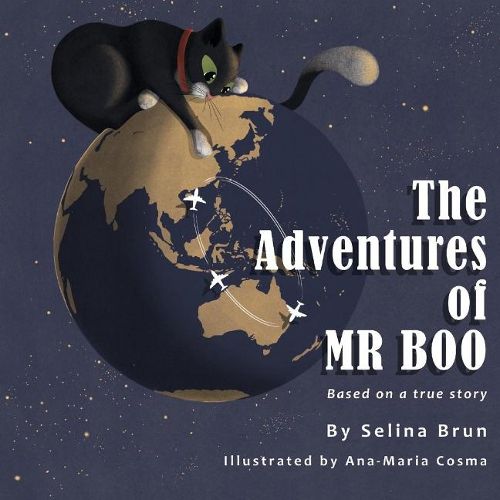 Cover image for The Adventures of Mr Boo