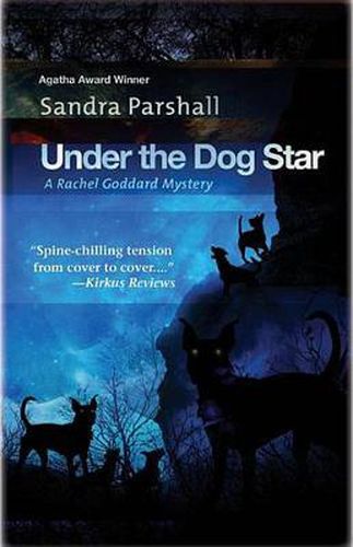 Cover image for Under the Dog Star