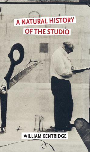 Cover image for A Natural History of the Studio