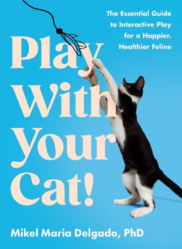 Cover image for Play With Your Cat!