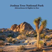 Cover image for Joshua Tree National Park Attractions and Sights to See Kids