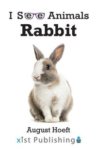 Cover image for Rabbit