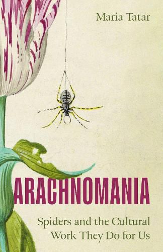 Cover image for Arachnomania