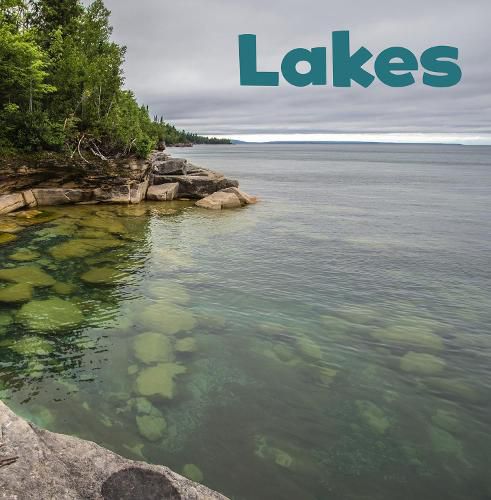 Cover image for Lakes