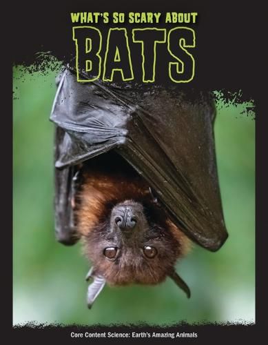 Cover image for What's So Scary about Bats?