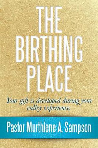 Cover image for The Birthing Place: Your Gift Is Developed During Your Valley Experience