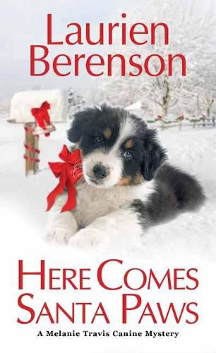 Cover image for Here Comes Santa Paws