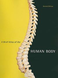 Cover image for Brief Atlas of the Human Body, A