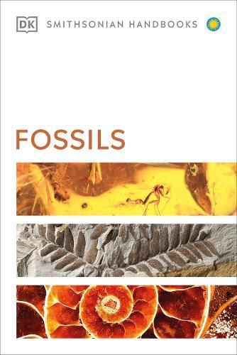 Cover image for Fossils