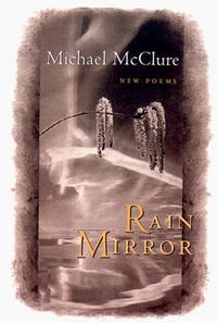 Cover image for Rain Mirror: Poems