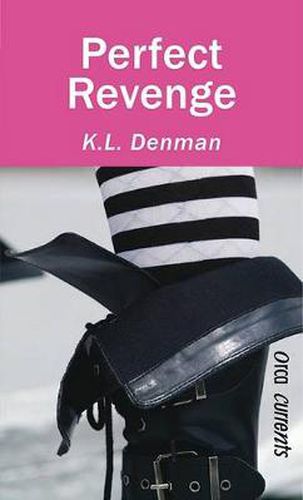 Cover image for Perfect Revenge