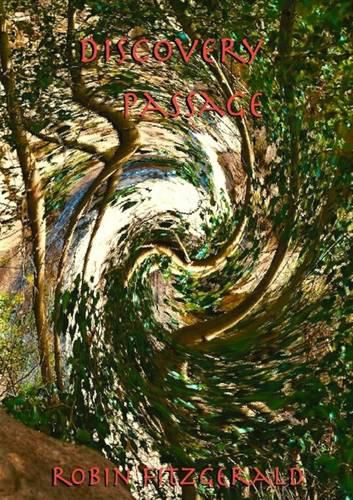 Cover image for Discovery Passage